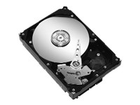 Disco Duro 1 TB SATA 300